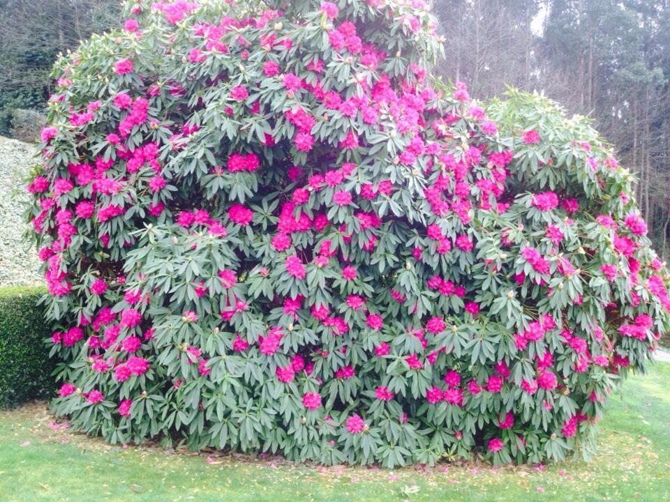 Casa Das Veigas Abegondo Buitenkant foto